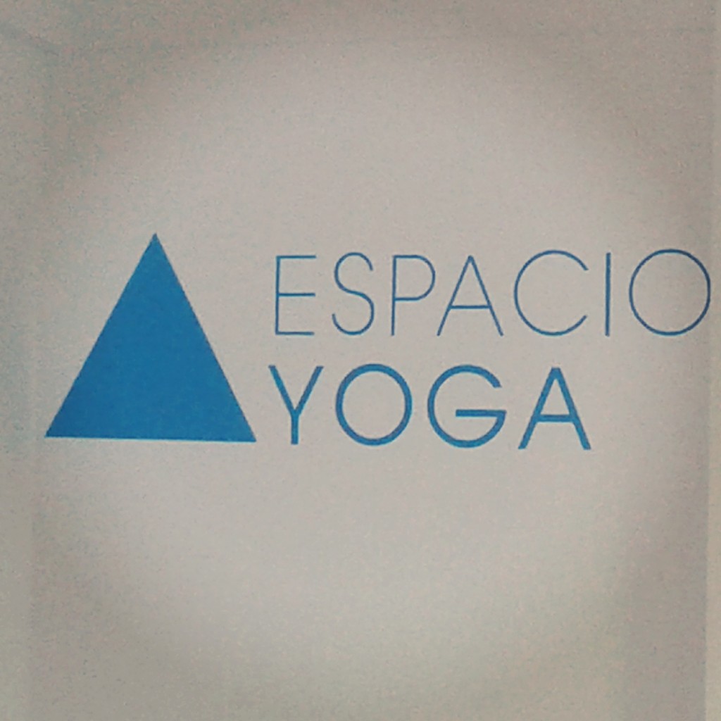 Clases de Yoga. Parque Centenario, Caballito.